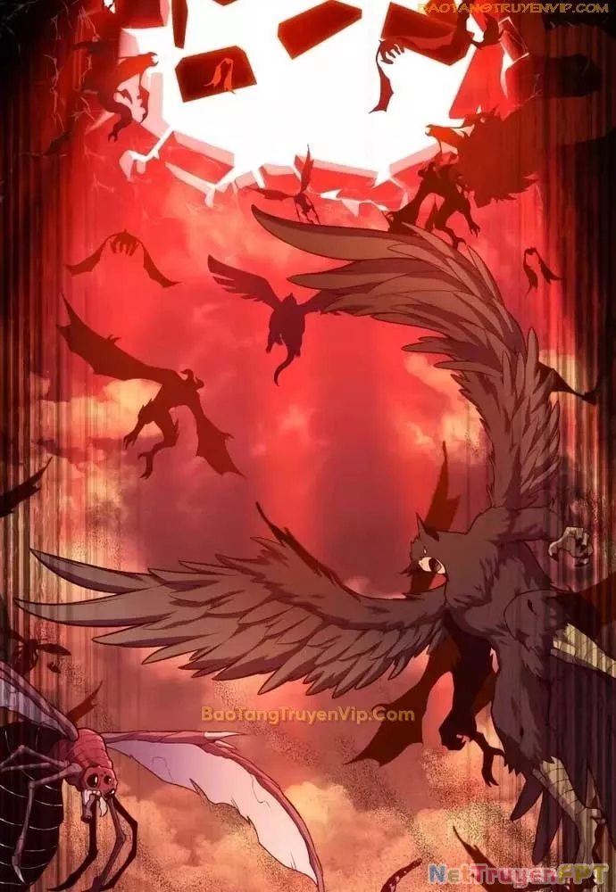 Chapter 0