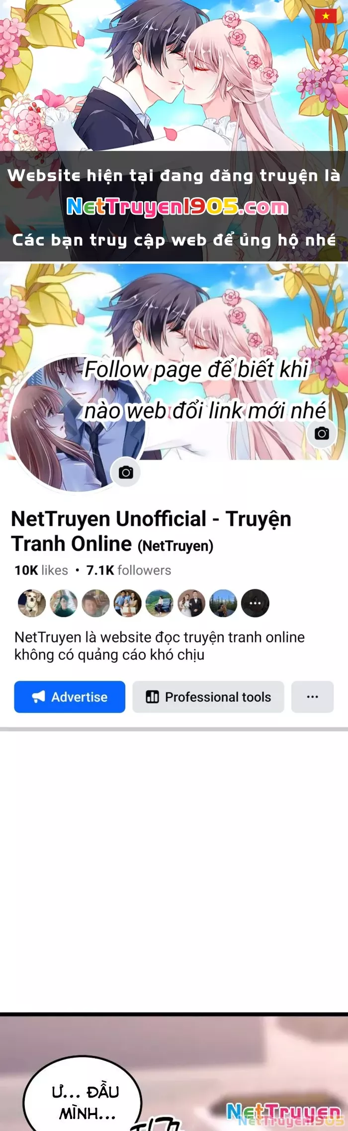Chapter 19