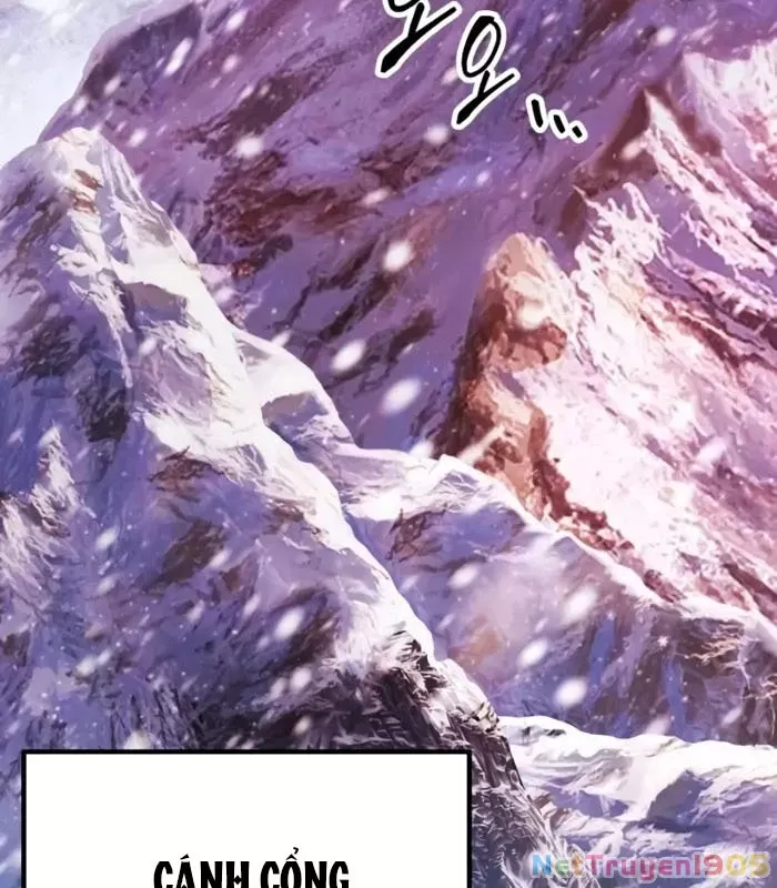 Chapter 19