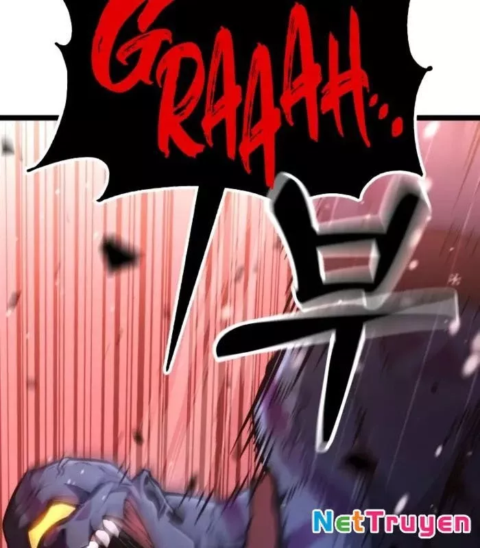 Chapter 19
