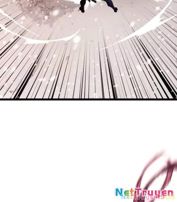 Chapter 19