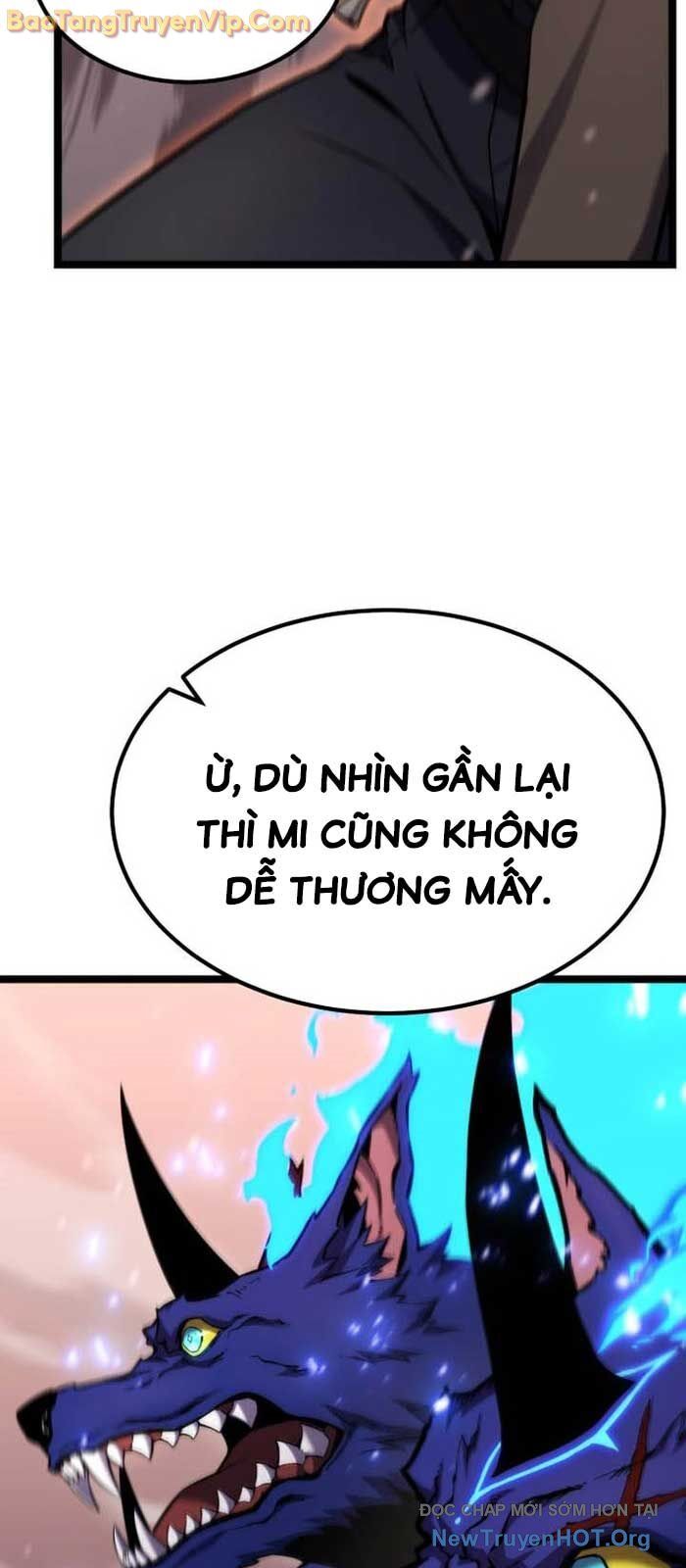 Chapter 22