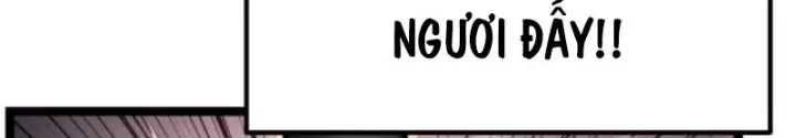 Chapter 23
