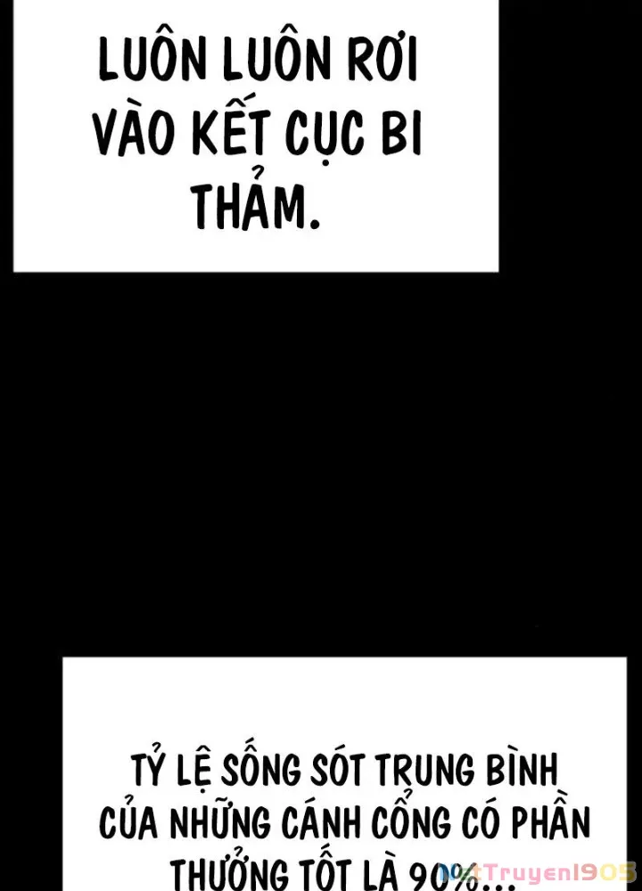 Chapter 23
