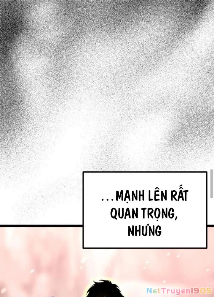 Chapter 23