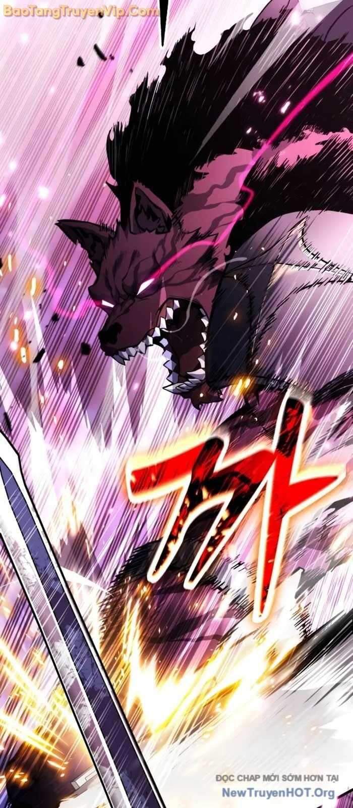 Chapter 26