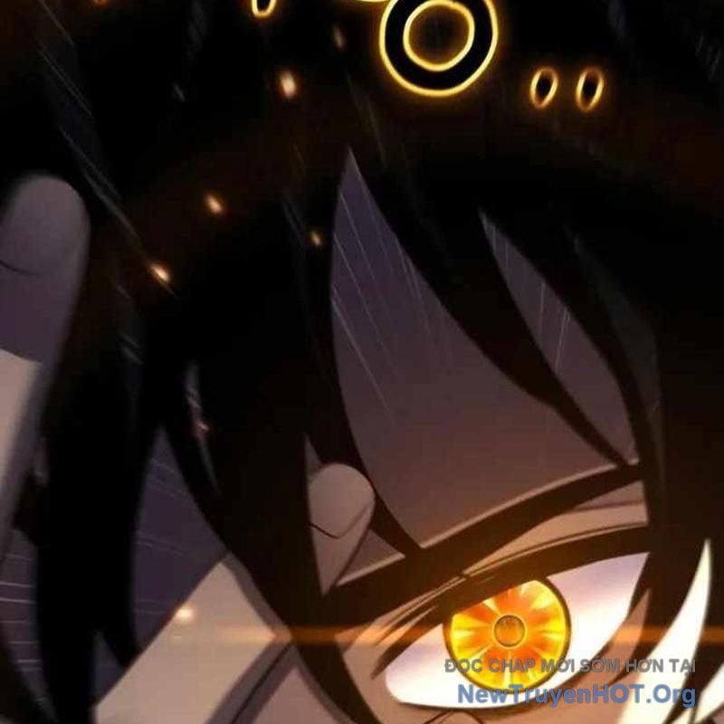 Chapter 31