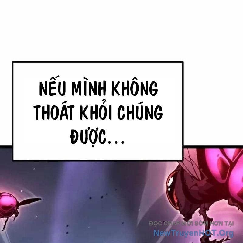 Chapter 31
