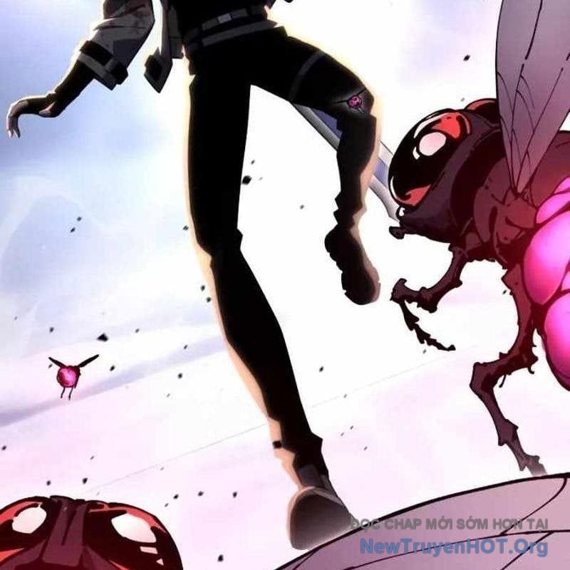 Chapter 31