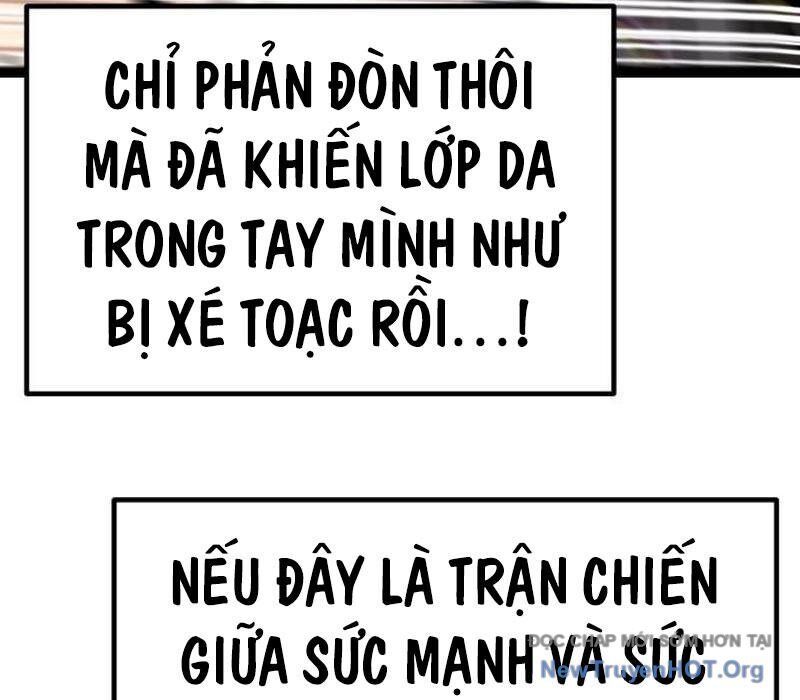 Chapter 33