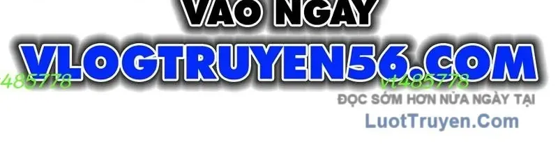 Chapter 19