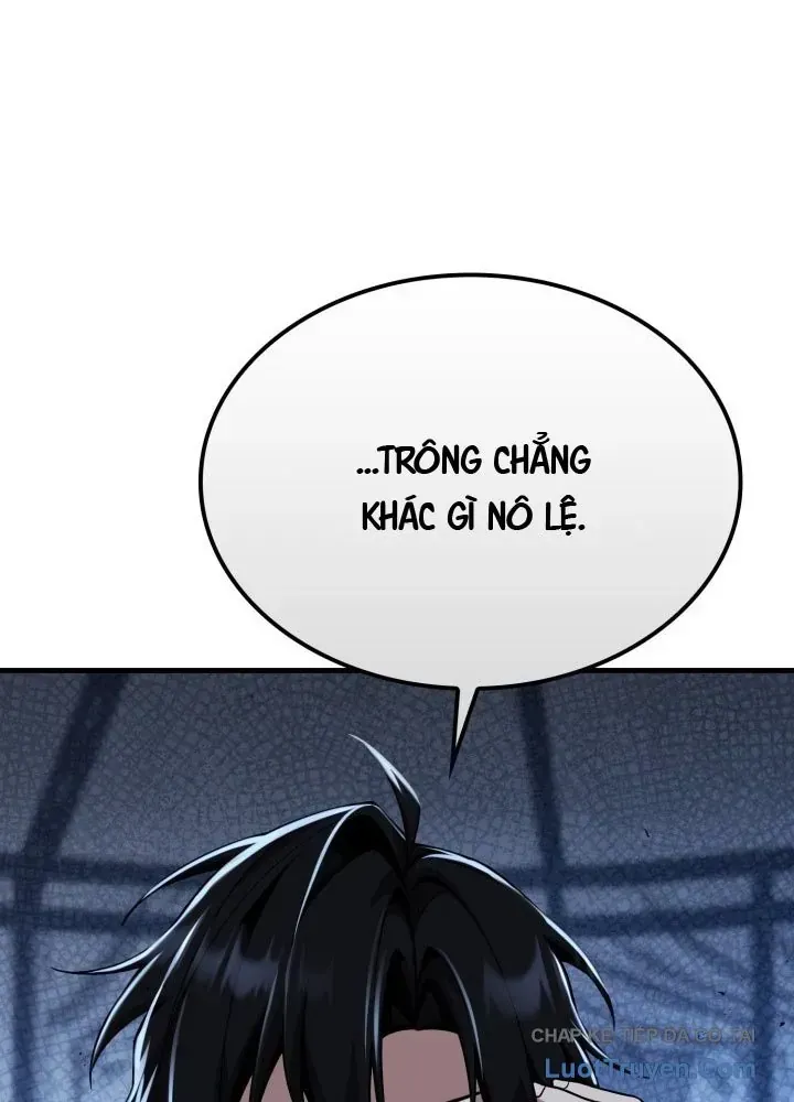 Chapter 23