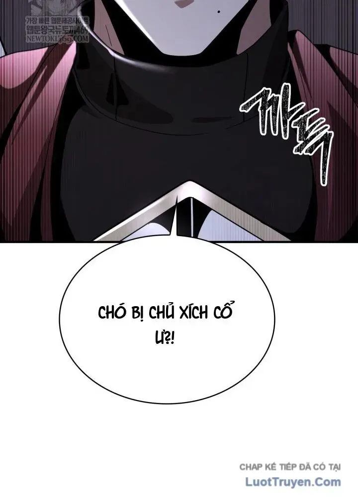 Chapter 23