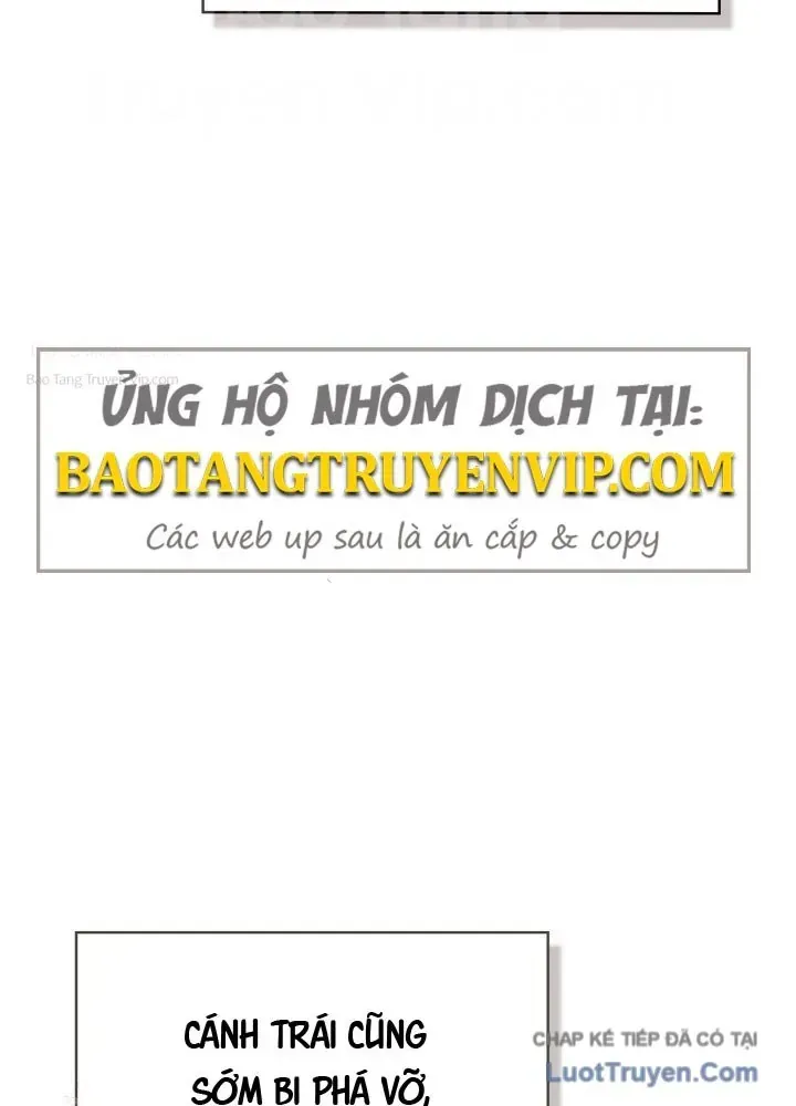 Chapter 26