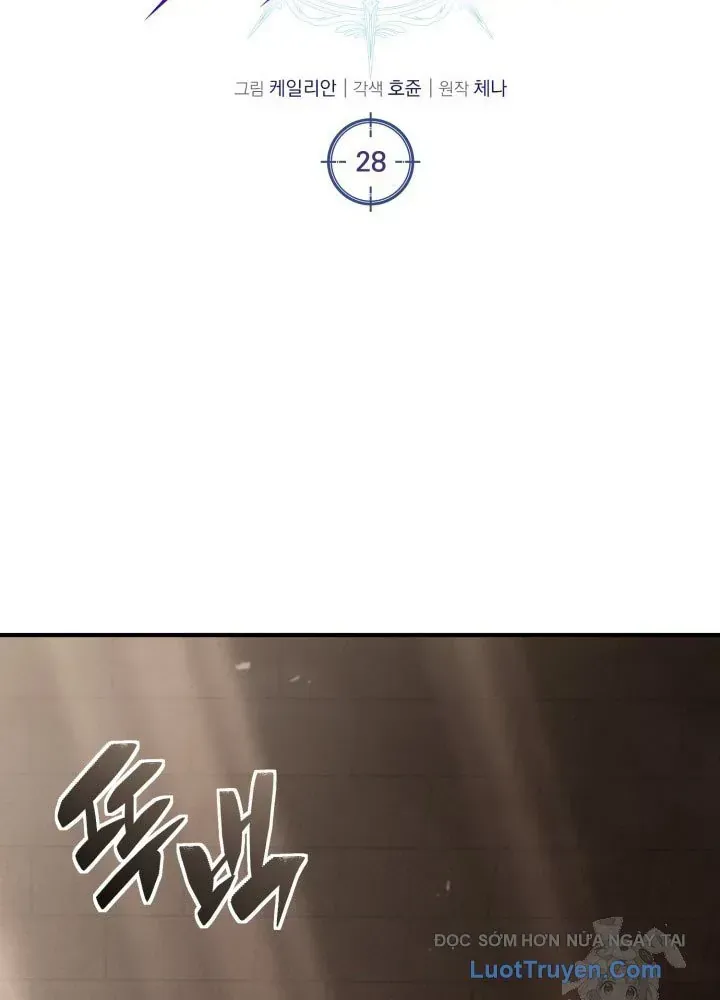 Chapter 28
