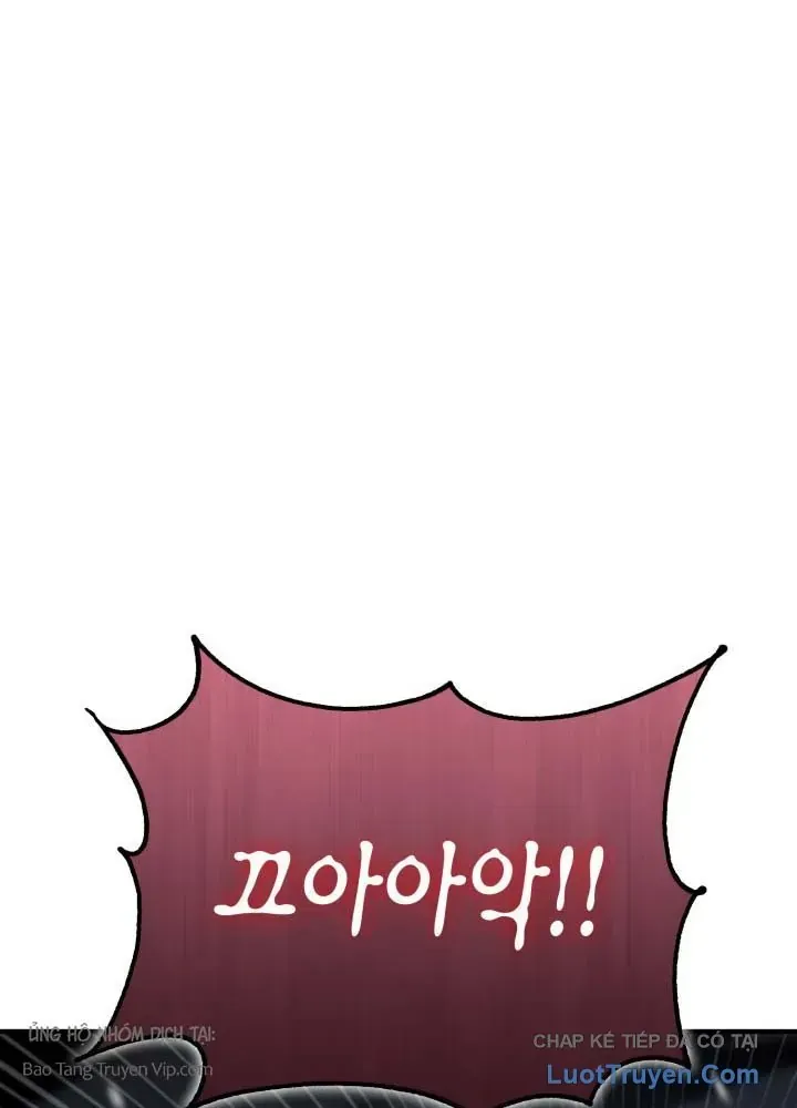 Chapter 29