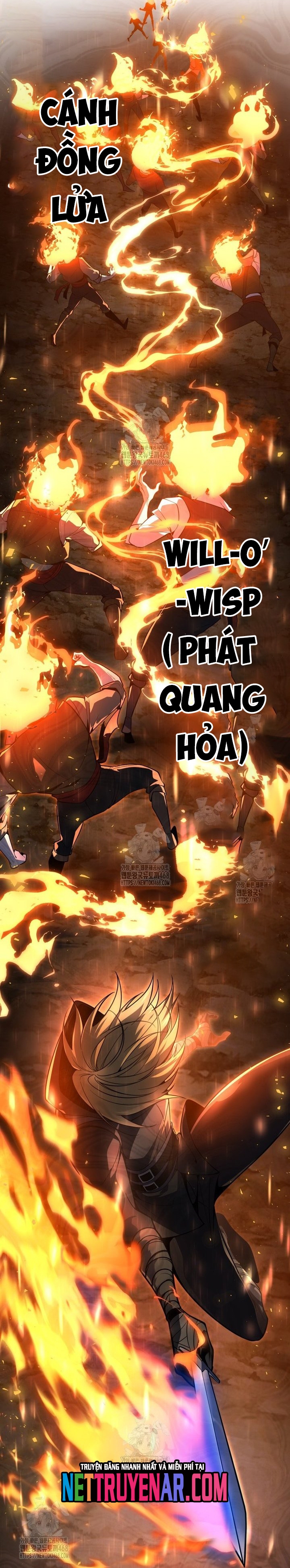 Chapter 55
