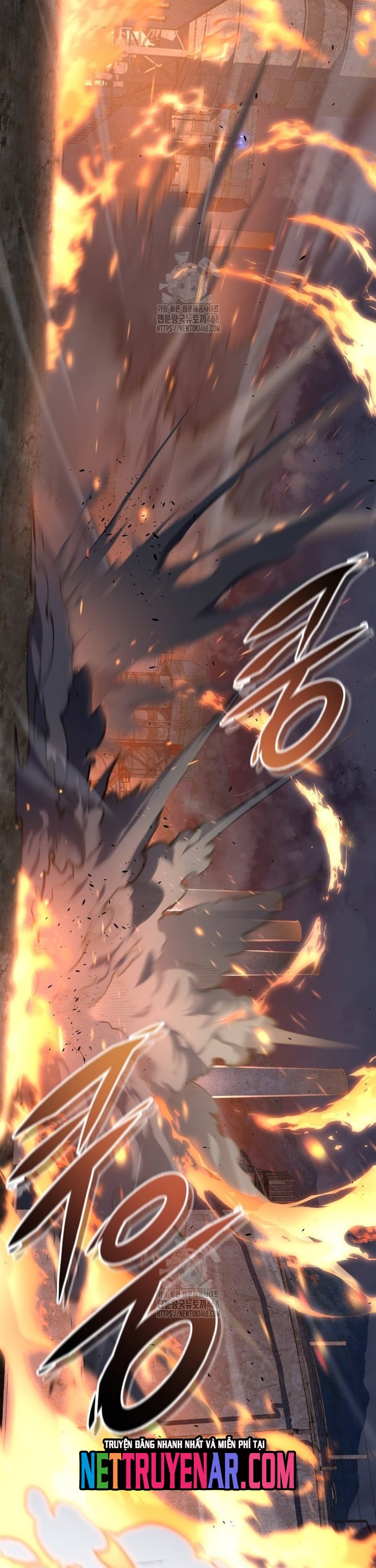 Chapter 55