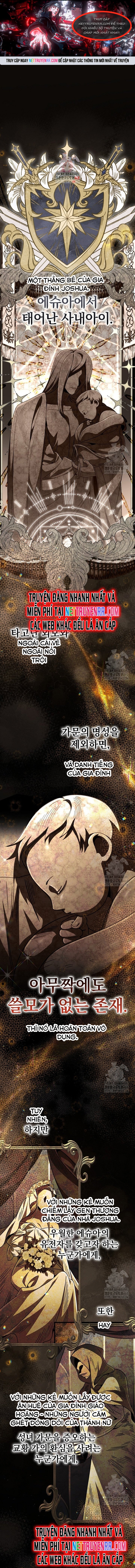Chapter 13
