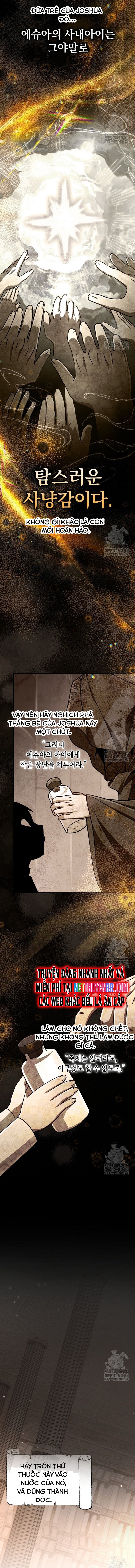 Chapter 13