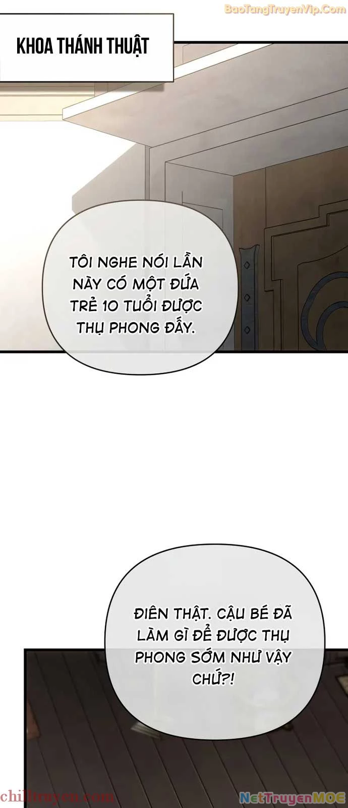 Chapter 26