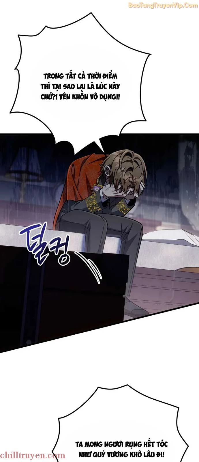 Chapter 26