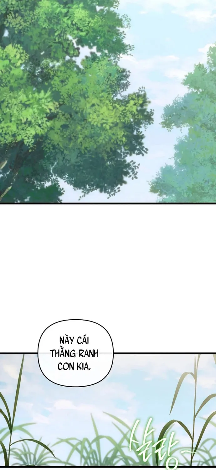 Chapter 71
