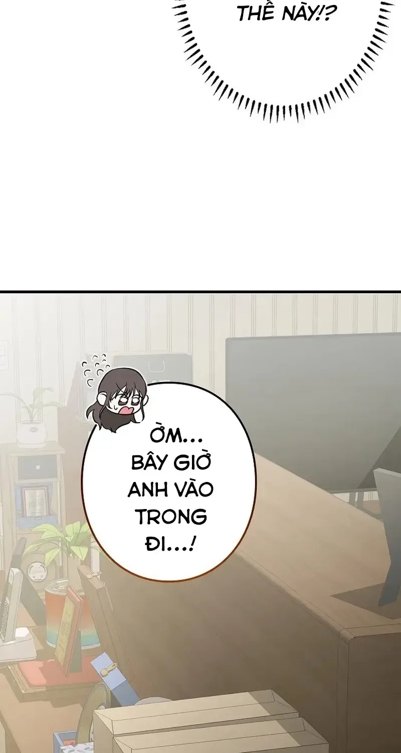 Chapter 3