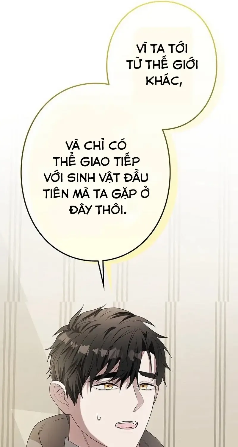 Chapter 3