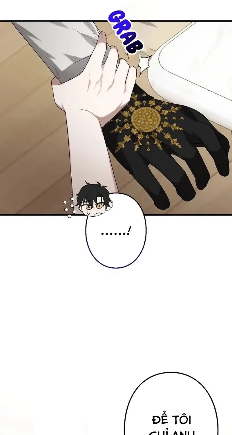 Chapter 3