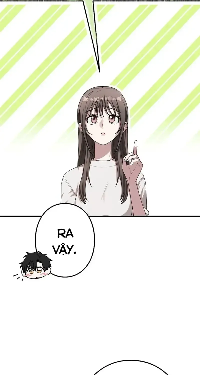 Chapter 5