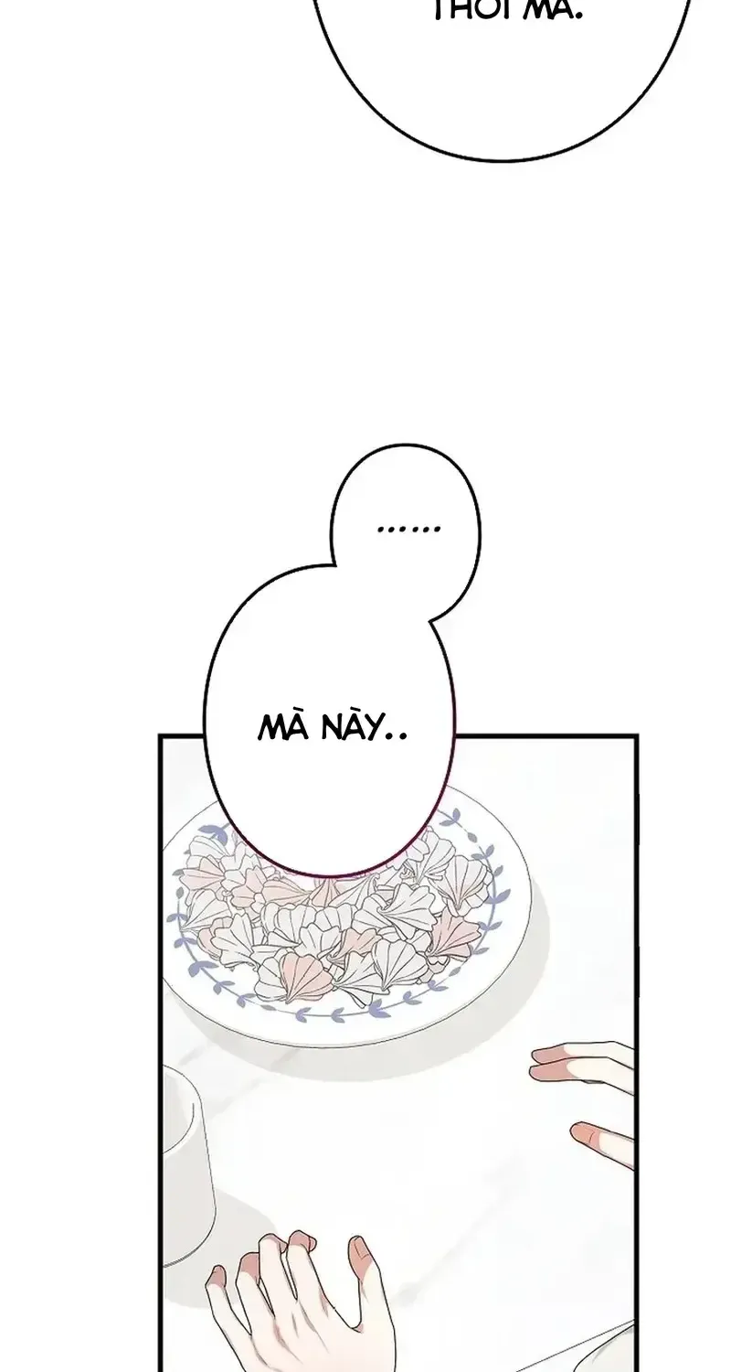 Chapter 7