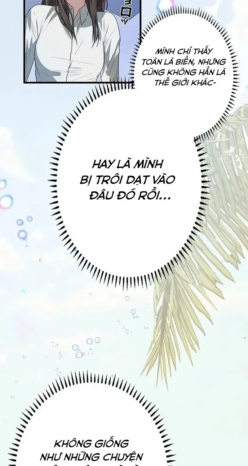 Chapter 8
