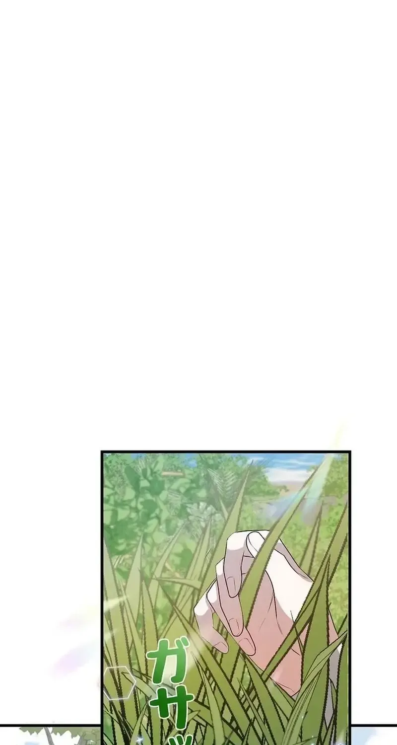 Chapter 8