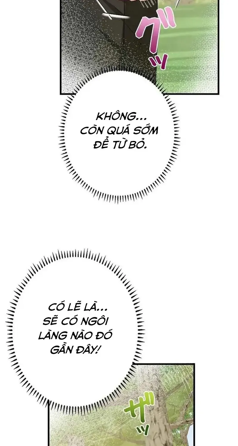 Chapter 8