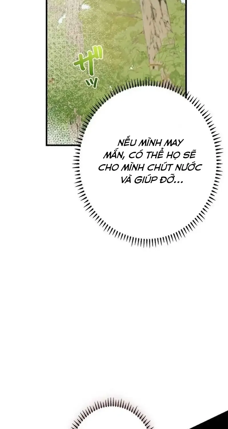 Chapter 8