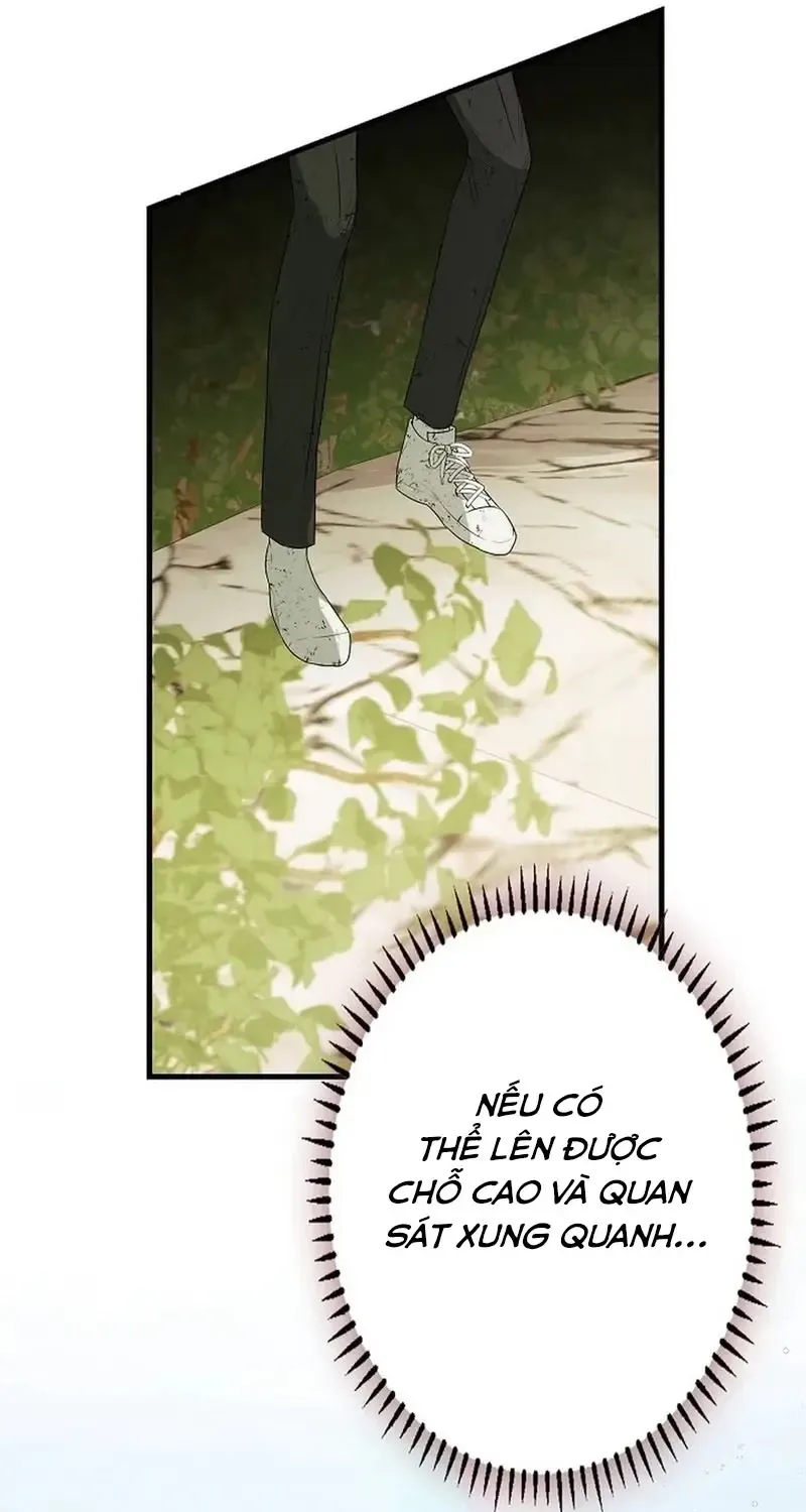Chapter 8