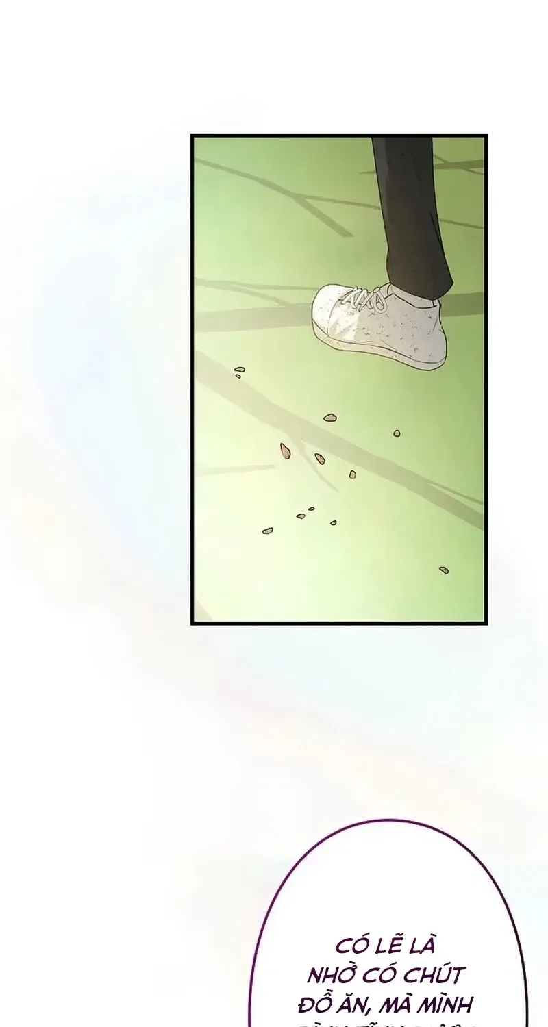 Chapter 8