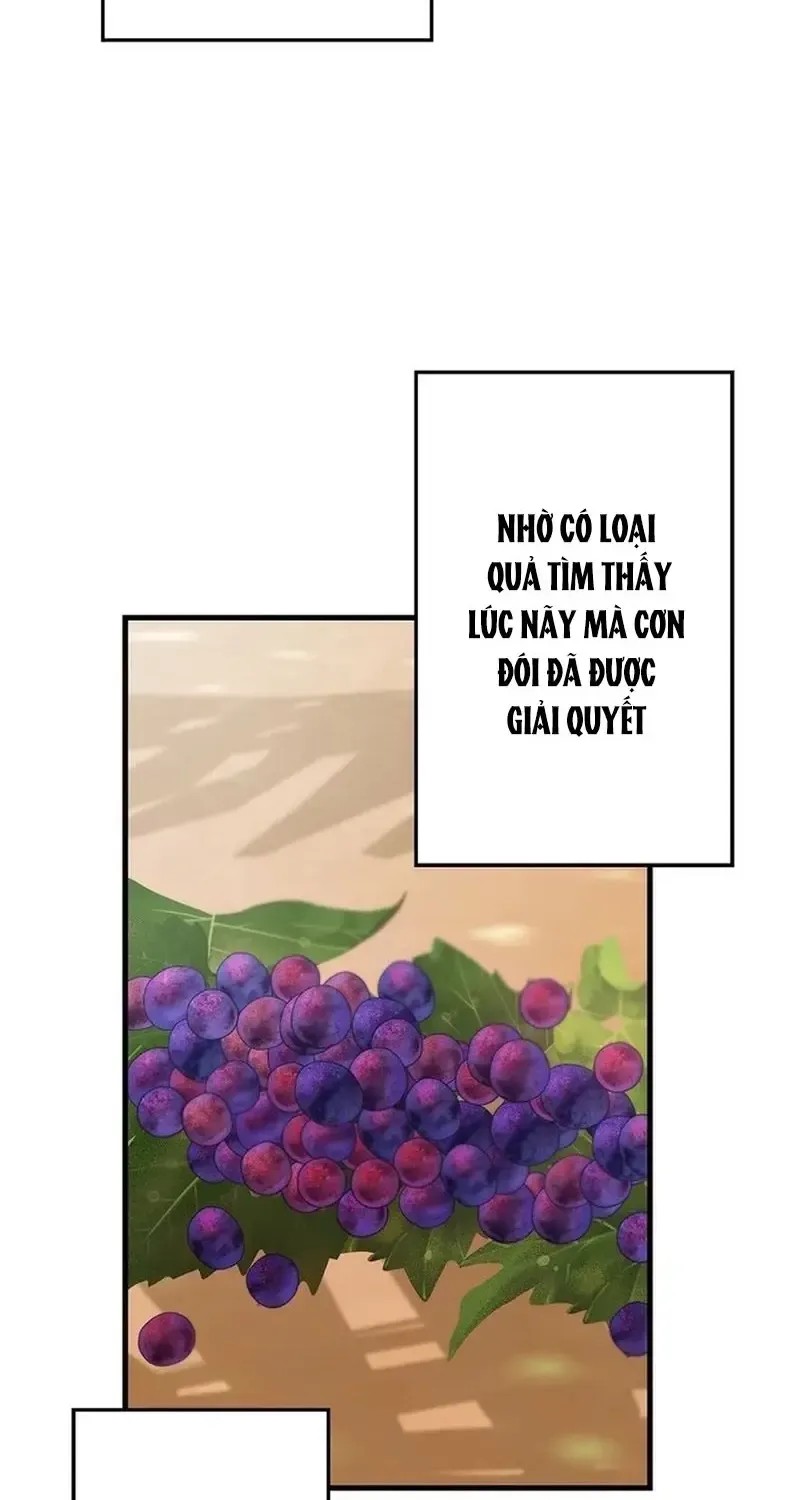 Chapter 8
