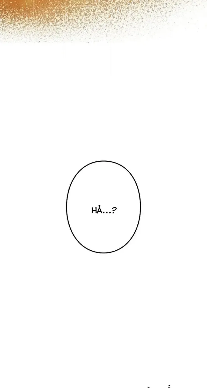 Chapter 8