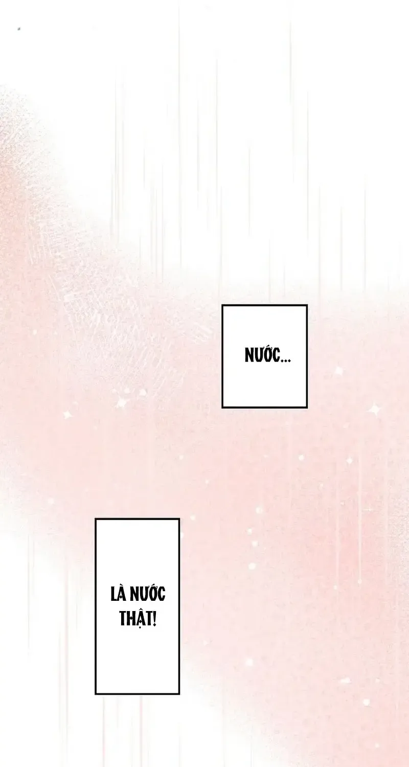 Chapter 9