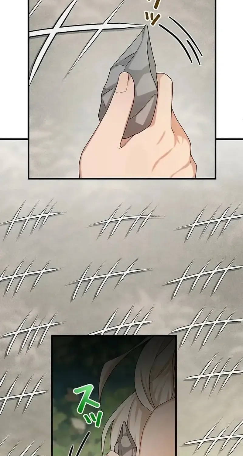 Chapter 10