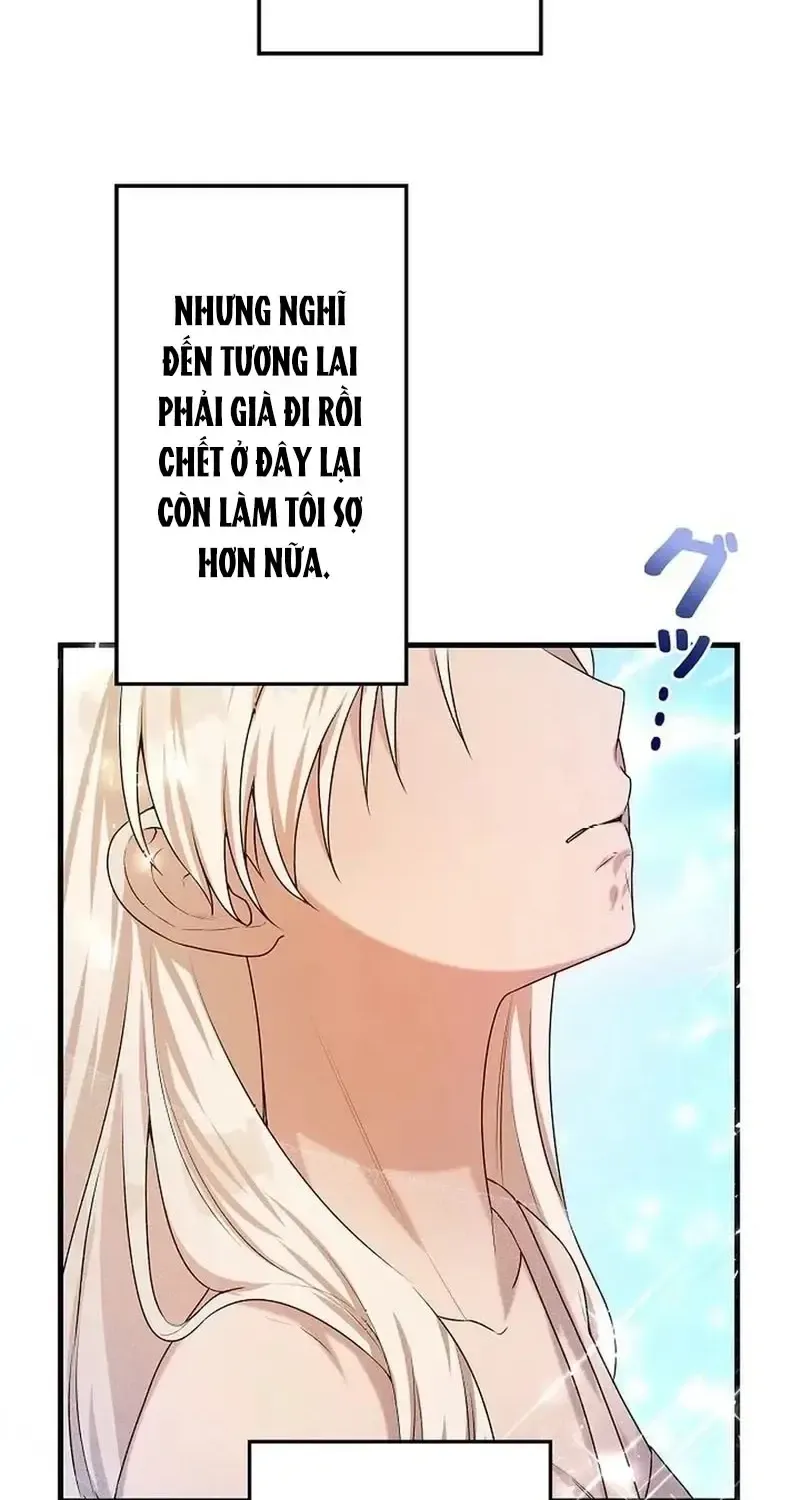 Chapter 10