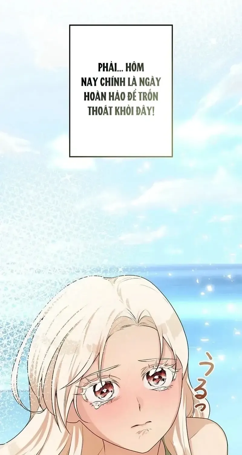 Chapter 10