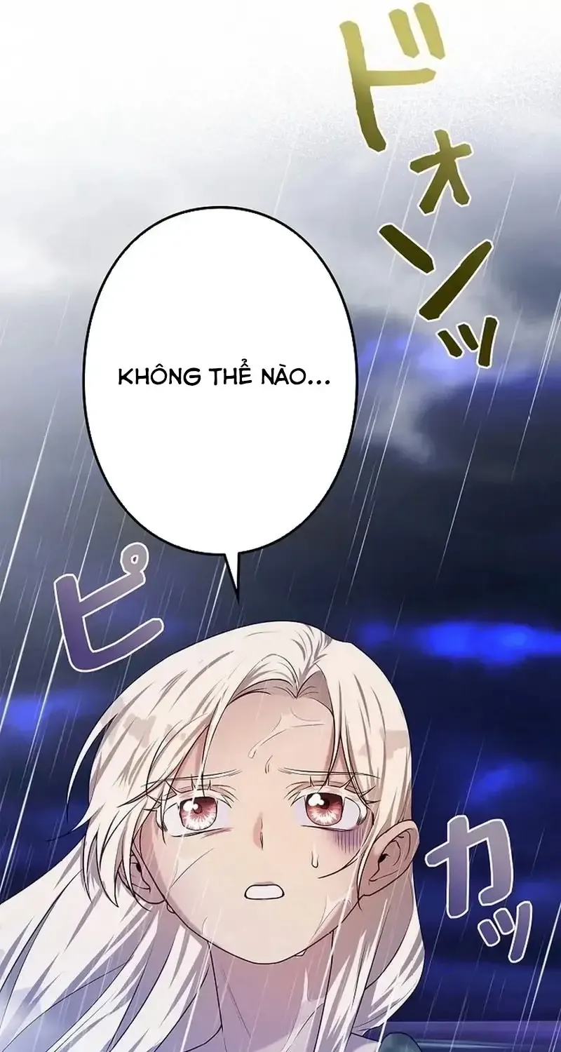 Chapter 10