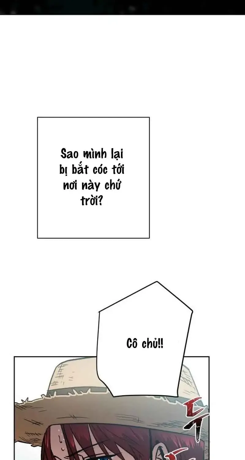 Chapter 1
