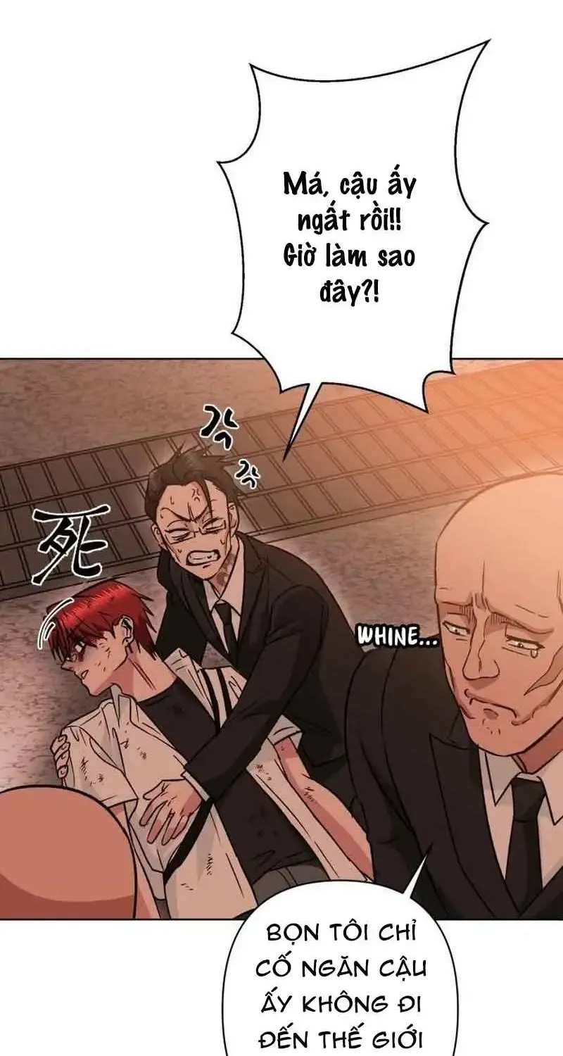 Chapter 1