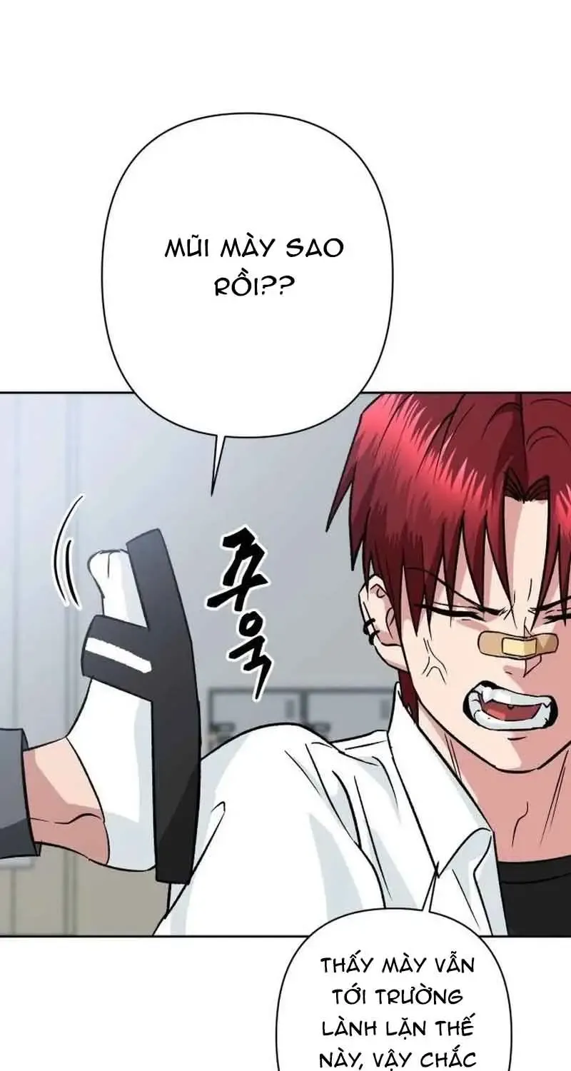 Chapter 1