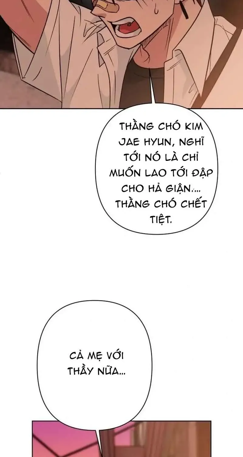 Chapter 1