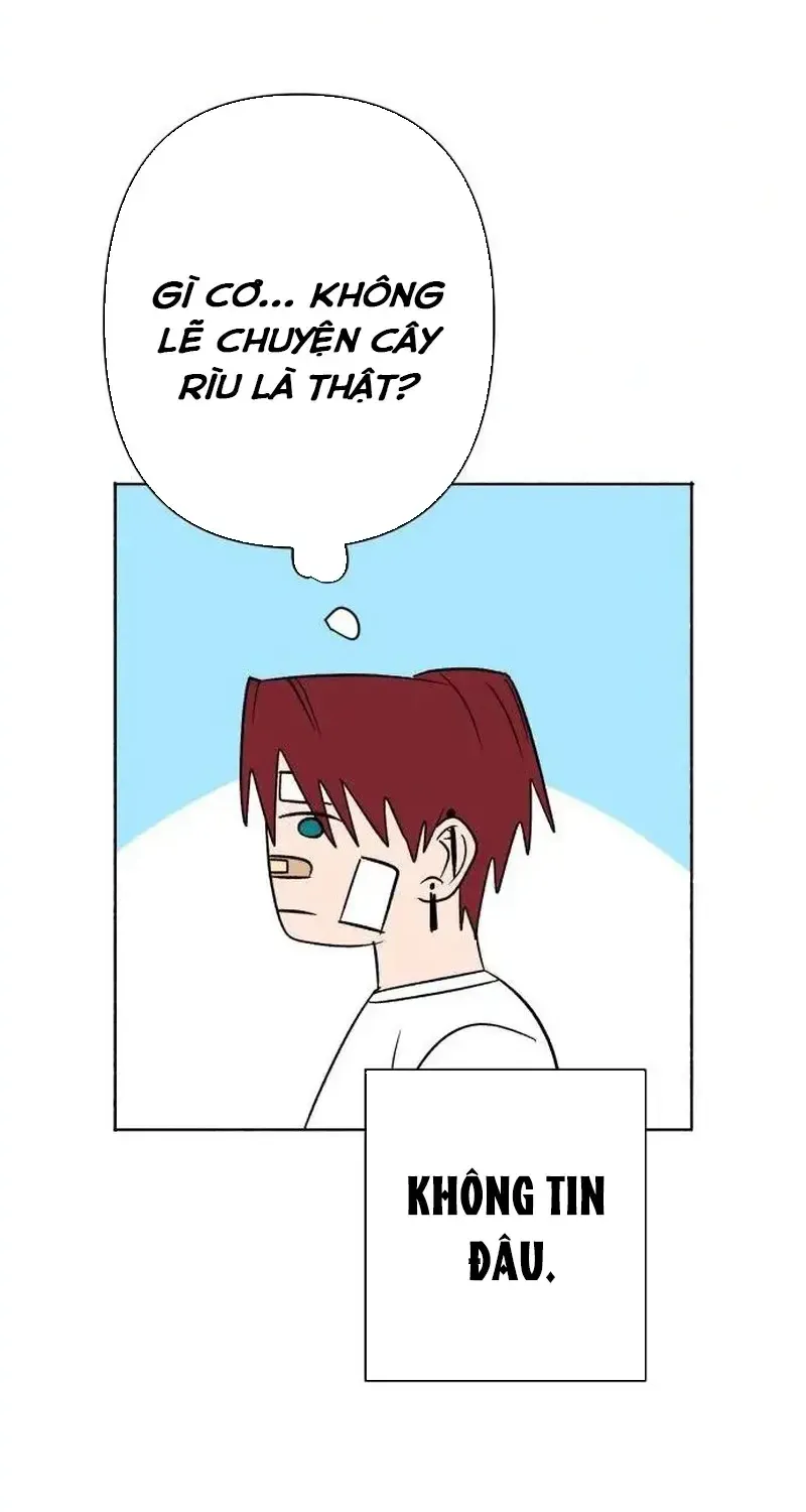 Chapter 2